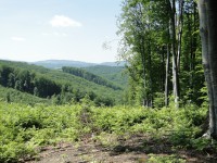 /album/prirodazabudnutavcase/dsc00859-jpg/